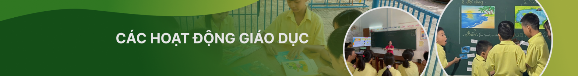 Các hoạt động giáo dục