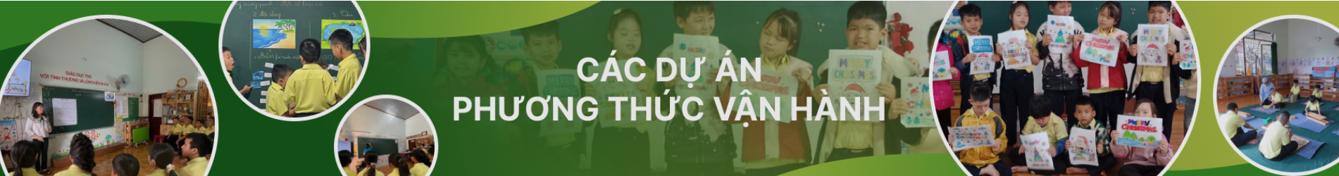 Các dự án