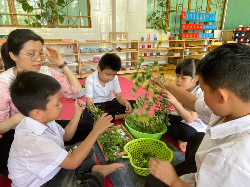 Hình ảnh hoạt động trị liệu 1